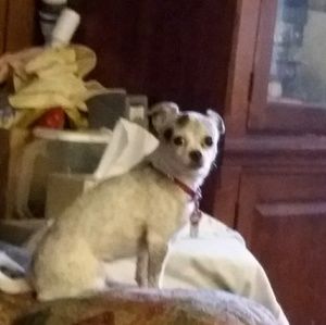 Meet your Posher, Linda